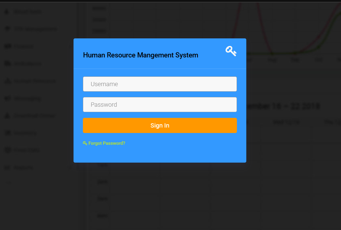 Consulting Project